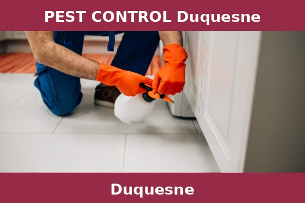 PEST CONTROL Duquesne